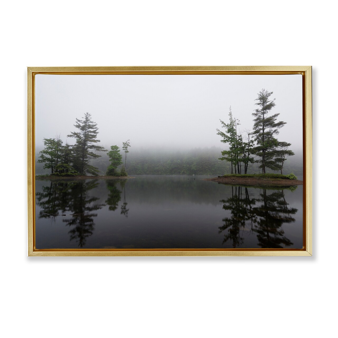 Stupell Industries Adirondack Lake Reflections Floating Frame, design by James Rodewald